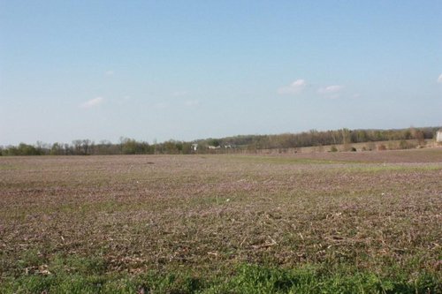 Property photo 22 - 641 Acres Offered in 16 Tracts - 545 Cropland Acres
